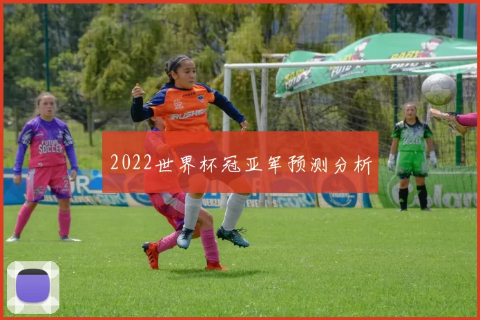 2022世界杯冠亚军预测分析