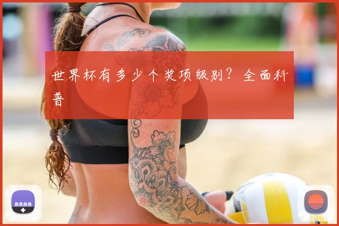 世界杯有多少个奖项级别?全面科普