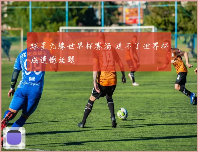 球星无缘世界杯赛场 进不了世界杯成遗憾话题
