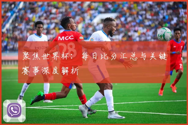 聚焦世界杯：每日比分汇总与关键赛事深度解析