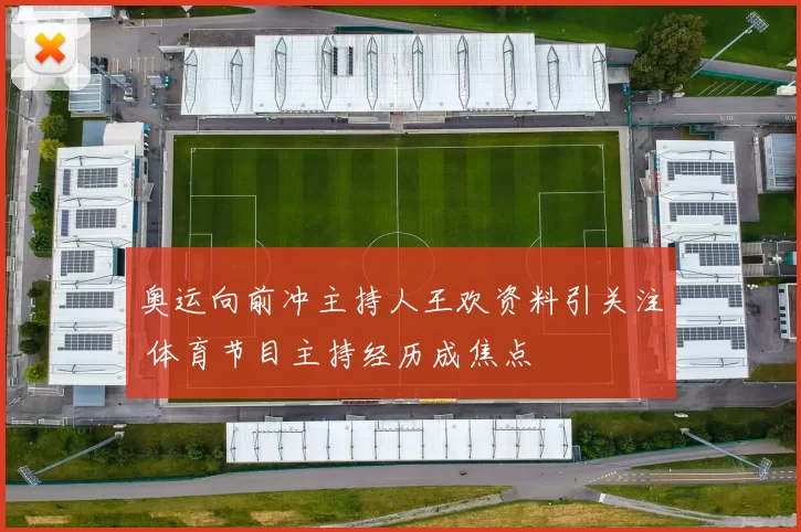 奥运向前冲主持人王欢资料引关注 体育节目主持经历成焦点