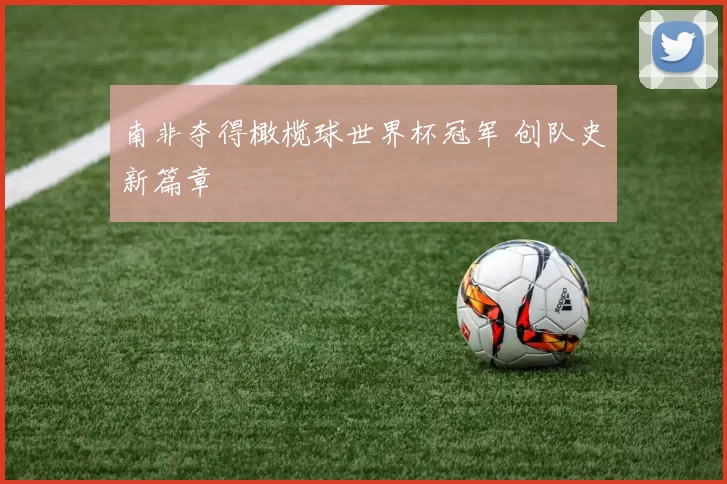 南非夺得橄榄球世界杯冠军 创队史新篇章