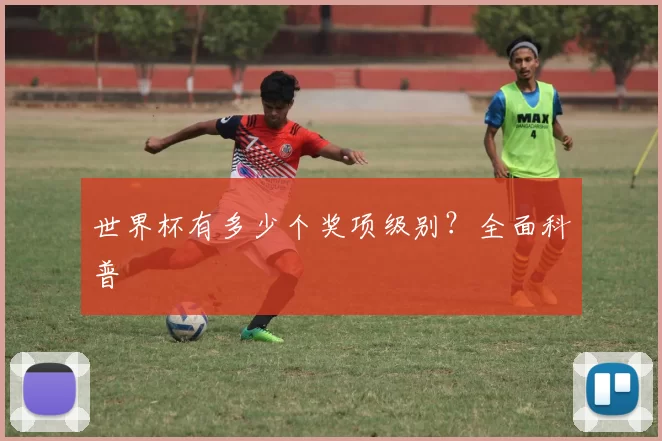 世界杯有多少个奖项级别?全面科普