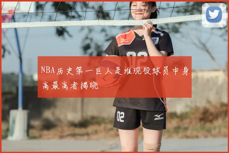 NBA历史第一巨人是谁现役球员中身高最高者揭晓