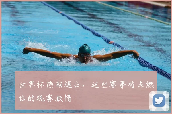 世界杯热潮退去,这些赛事将点燃你的观赛激情
