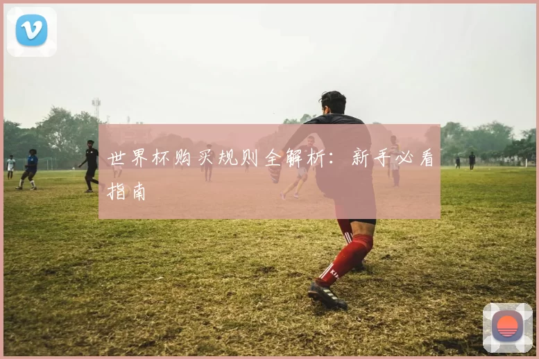 世界杯购买规则全解析:新手必看指南