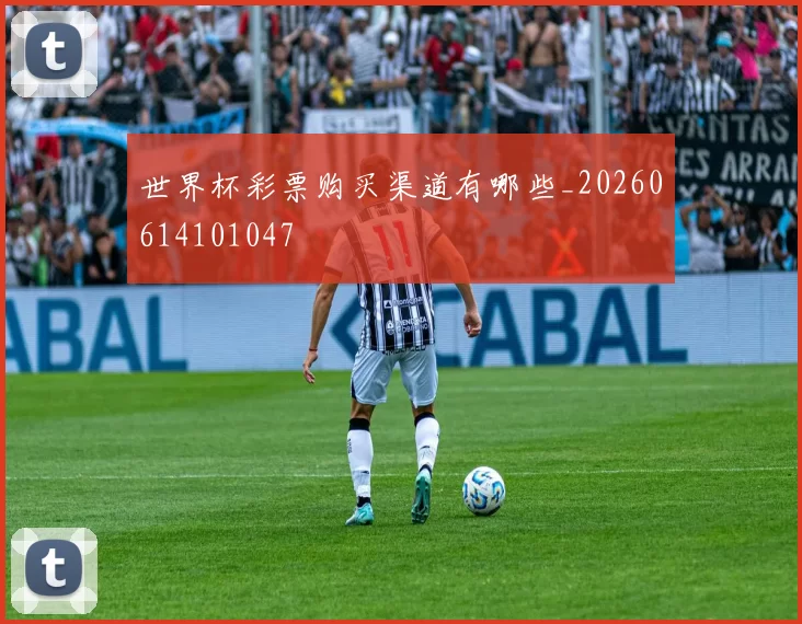 世界杯彩票购买渠道有哪些_20260614101047